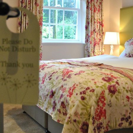 Hotel The Hood Arms Kilve Pokój zdjęcie